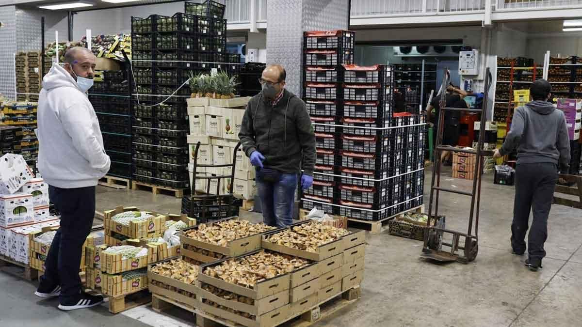 El mercado de fruta y verdura de Mercabarna, esta mañana. El mercado de fruta y verdura de Mercabarna, esta mañana.