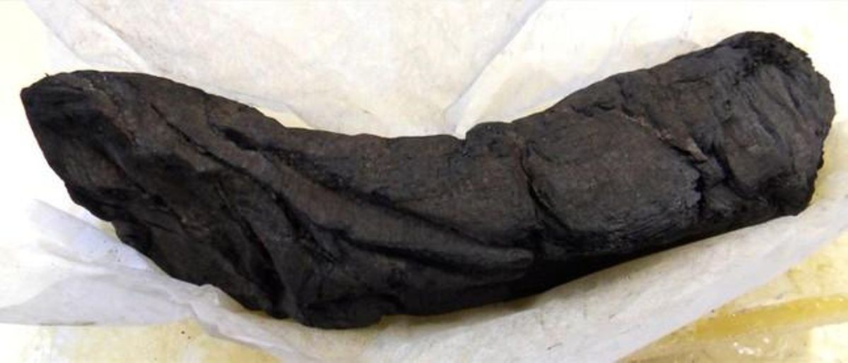 Manuscrito sepultado bajo la lava del Vesubio, en las ruinas de Herculano. Manuscrito sepultado bajo la lava del Vesubio, en las ruinas de Herculano.