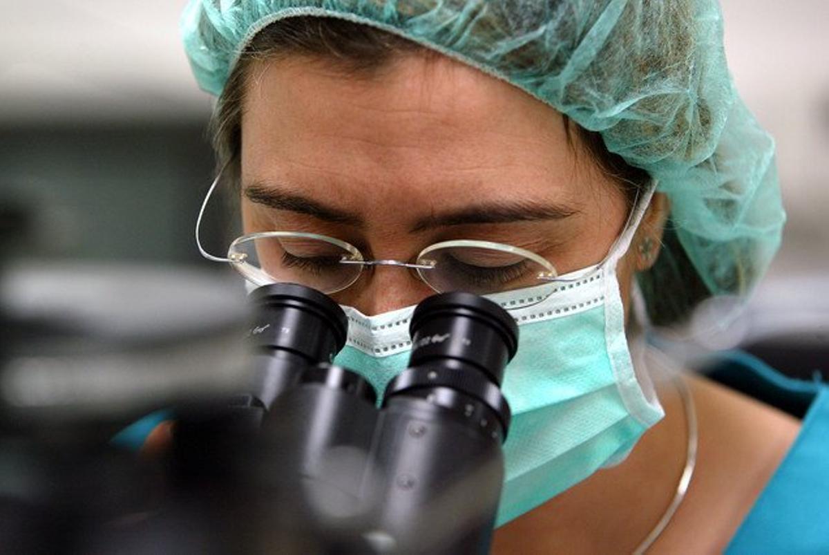 Una empleada de un laboratorio de reproducción asistida. Una empleada de un laboratorio de reproducción asistida.