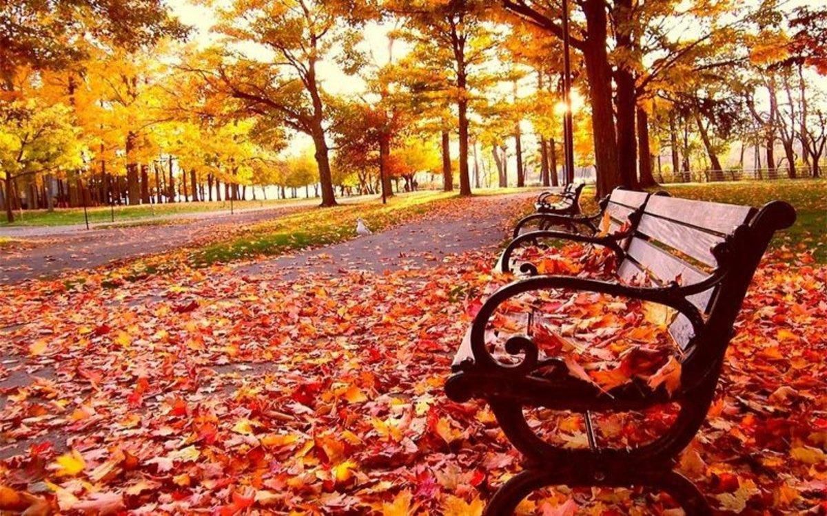 El otoño tiene un toque especial en la naturaleza. El otoño tiene un toque especial en la naturaleza.