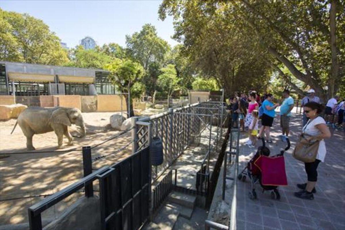 Visitantes del Zoo ante la zona reservada a los elefantes. Visitantes del Zoo ante la zona reservada a los elefantes.