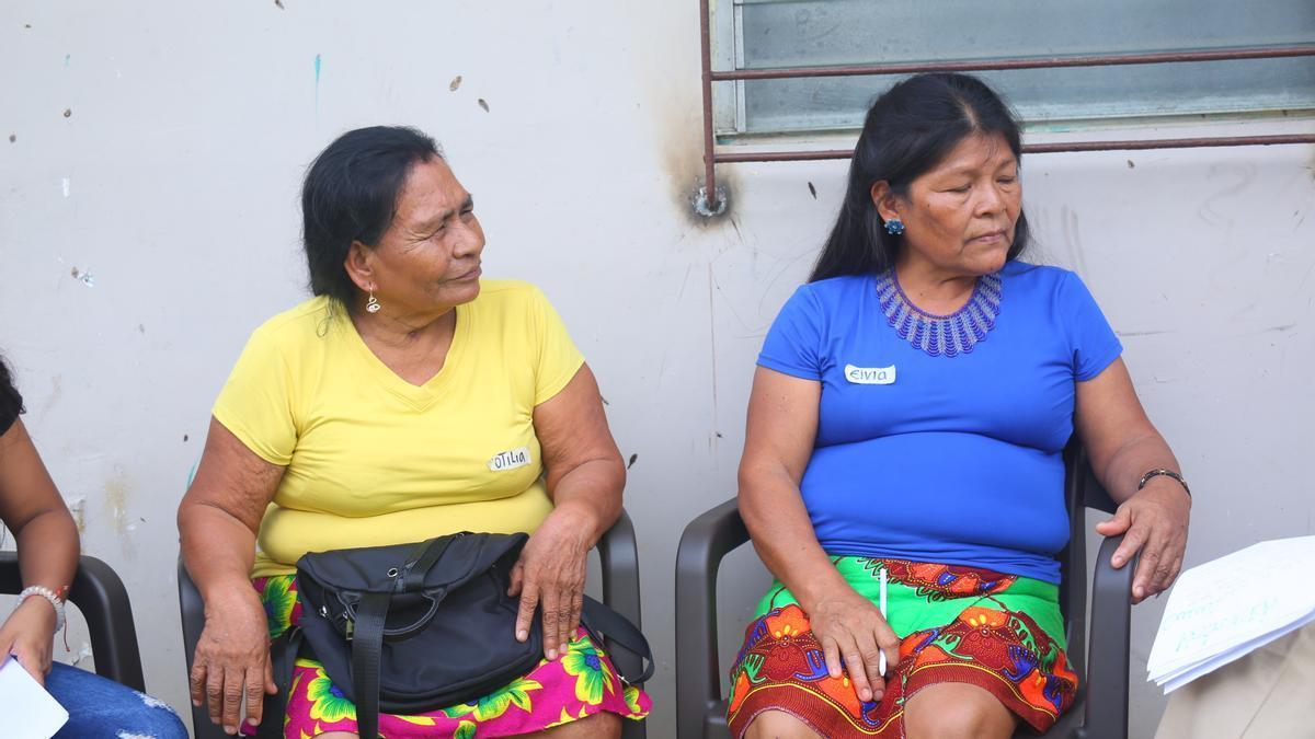 Proyecto Comarca: mujeres indígenas que salvan lenguas originarias a golpe de Whatsapp