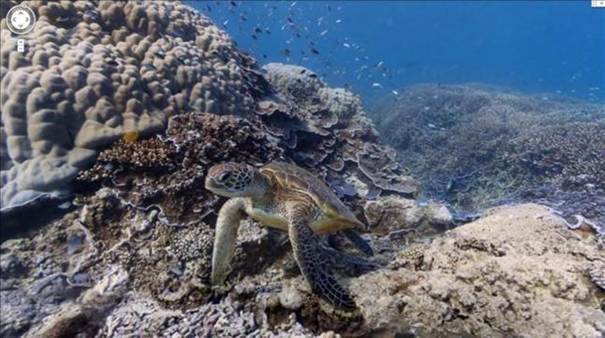 Google estrena Street View en el fondo marino. Google estrena Street View en el fondo marino.