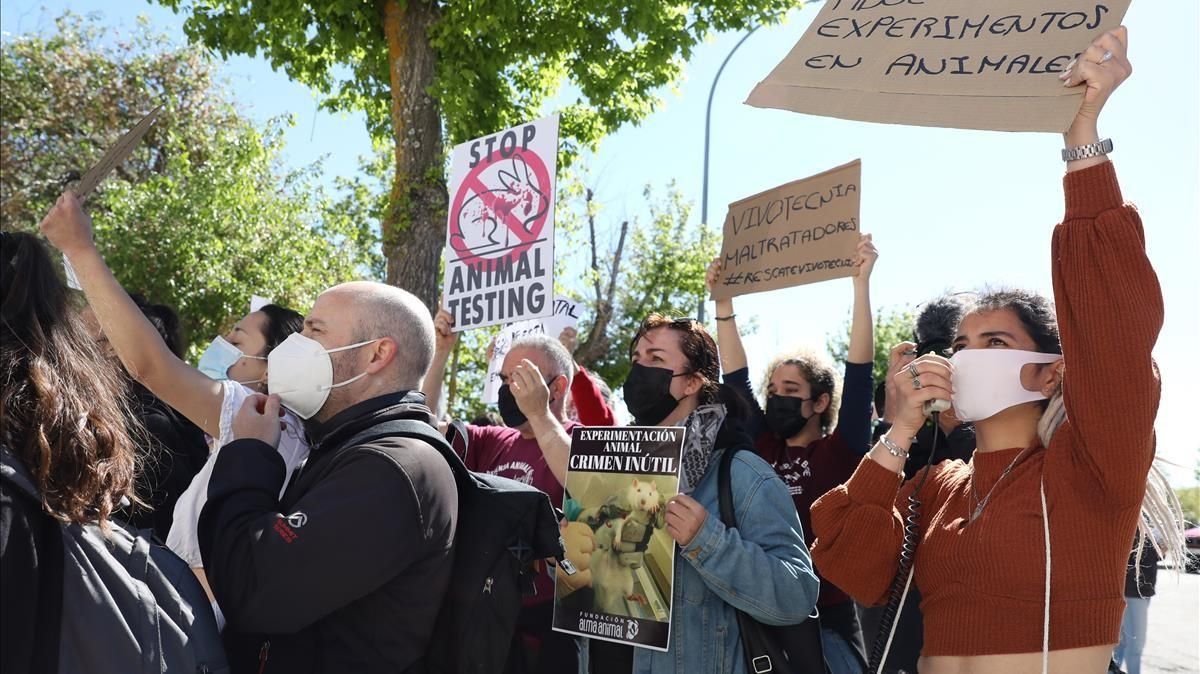 Protesta ante el laboratorio Vivotecnia, acusado de maltrato animal, este lunes en Madrid. Protesta ante el laboratorio Vivotecnia, acusado de maltrato animal, este lunes en Madrid.