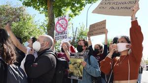 Protesta ante el laboratorio Vivotecnia, acusado de maltrato animal, este lunes en Madrid.
