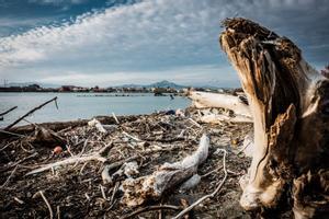 Estado del litoral en la costa de Castelvolturno, en la Campania italiana, castigado por el cambio climático.