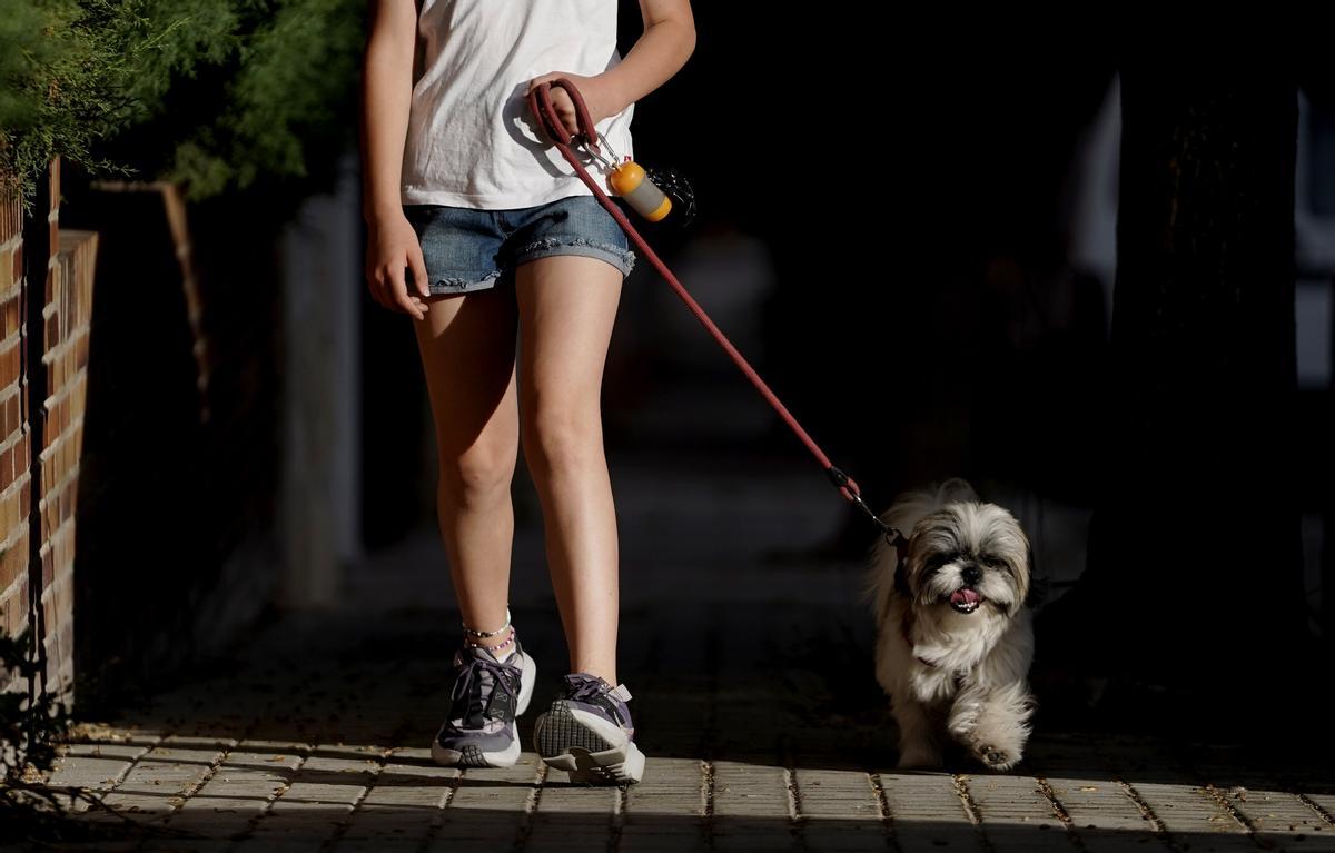 Una niña pasea con su perro. 