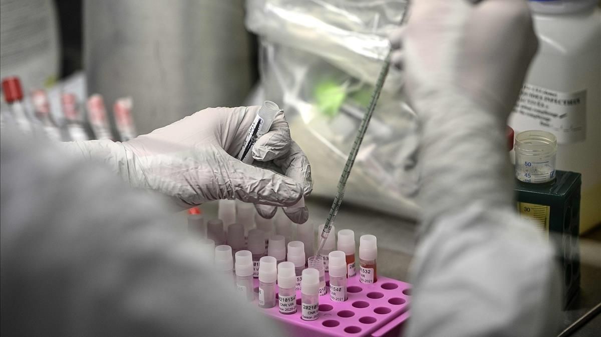Un investigador trabaja en secuenciar el genoma del coronavirus SARS-CoV-2 en el Institut Pasteur de París. Un investigador trabaja en secuenciar el genoma del coronavirus SARS-CoV-2 en el Institut Pasteur de París.