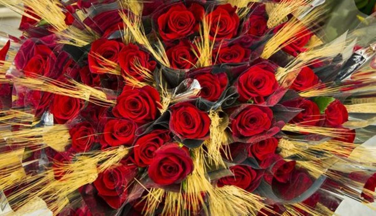 Rosas preparadas para Sant Jordi.