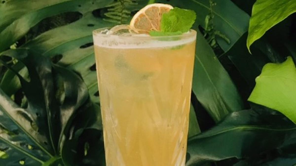Hokkaido Lemonade. Hokkaido Lemonade.