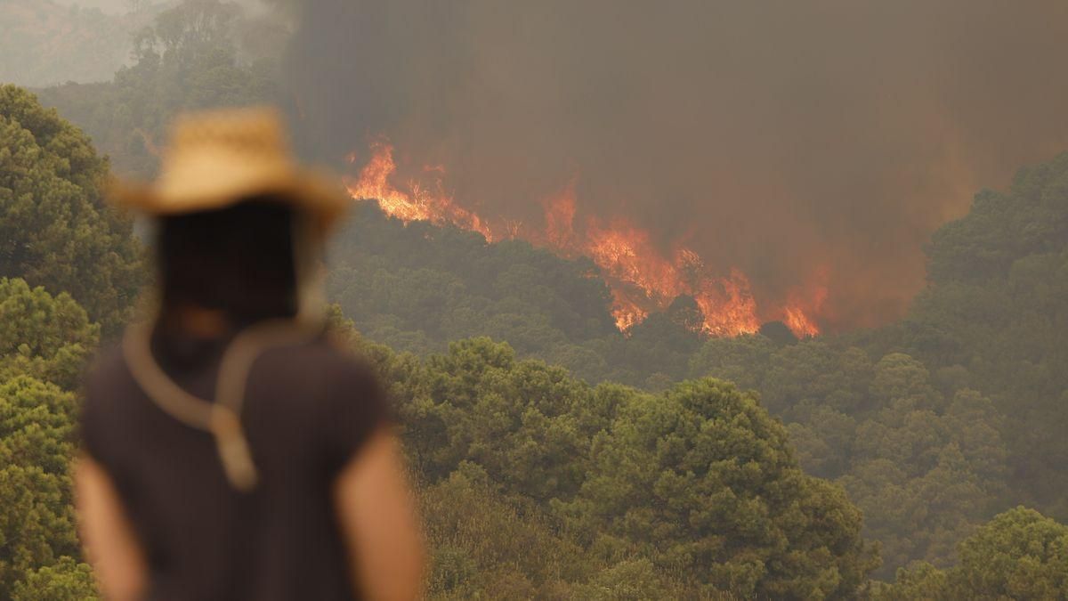 Les investigacions apunten que l’incendi de Màlaga va ser intencionat Les investigacions apunten que l’incendi de Màlaga va ser intencionat