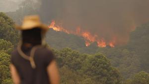 Mor un bomber forestal a l’incendi de Sierra Bermeja