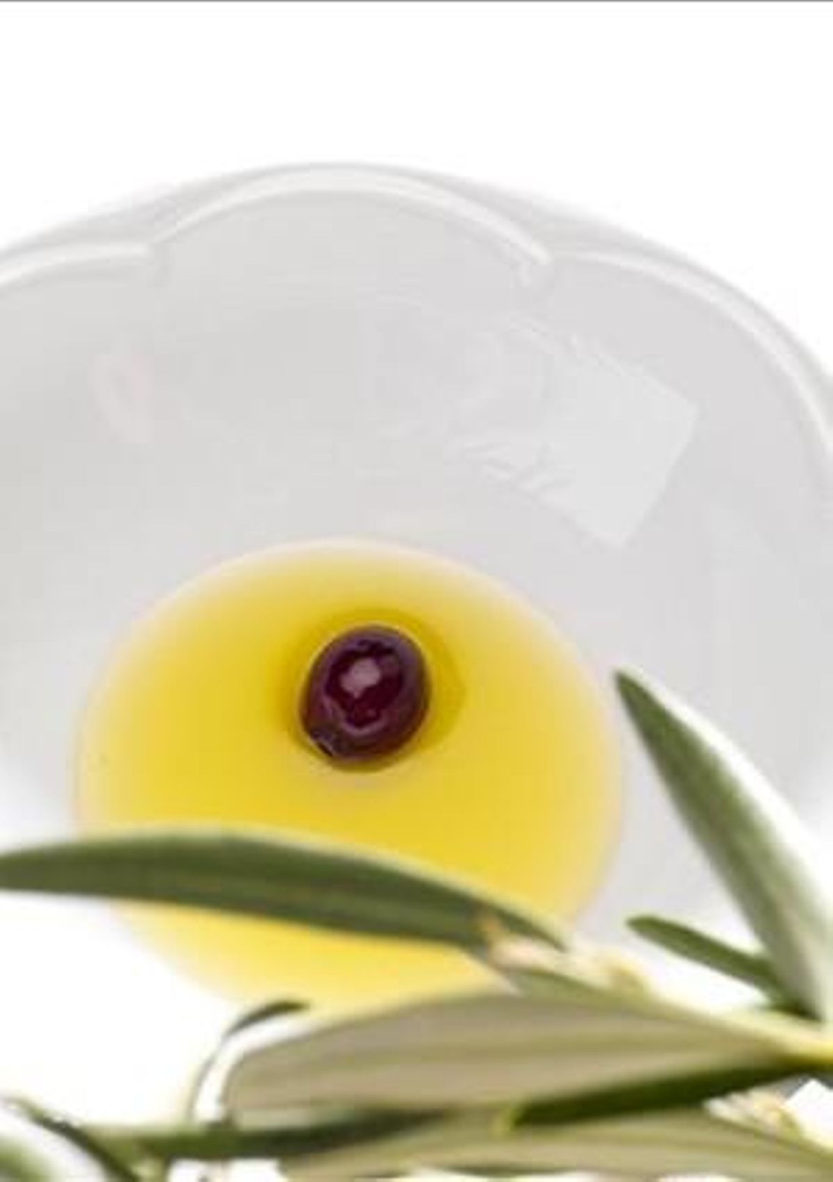 Aceite de oliva vírgen. Poder untuoso Aceite de oliva vírgen. Poder untuoso