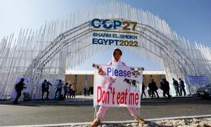 Una activista protesta contra el consumo de carne, frente a una de las sedes de la cumbre