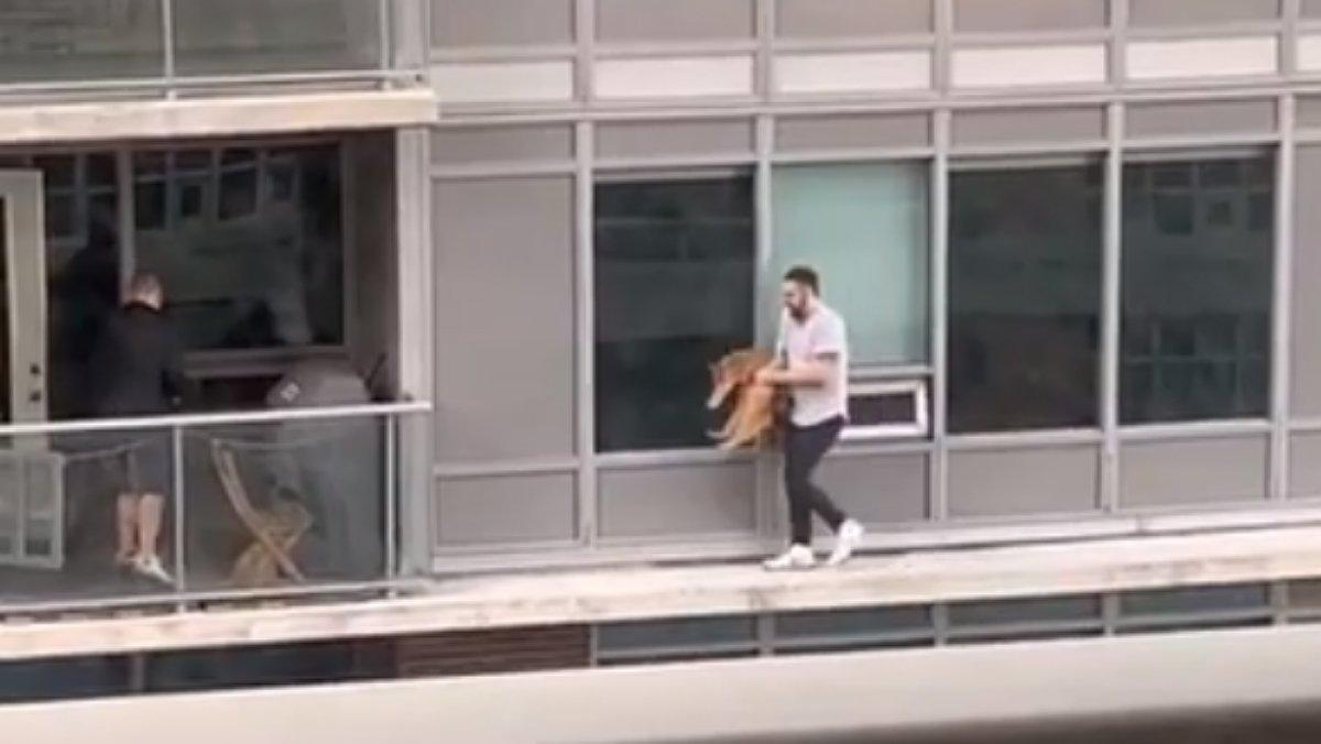 Captura del vídeo donde se ve al hombre que rescata a su gato caminando por una estrecha cornisa, en Toronto.
