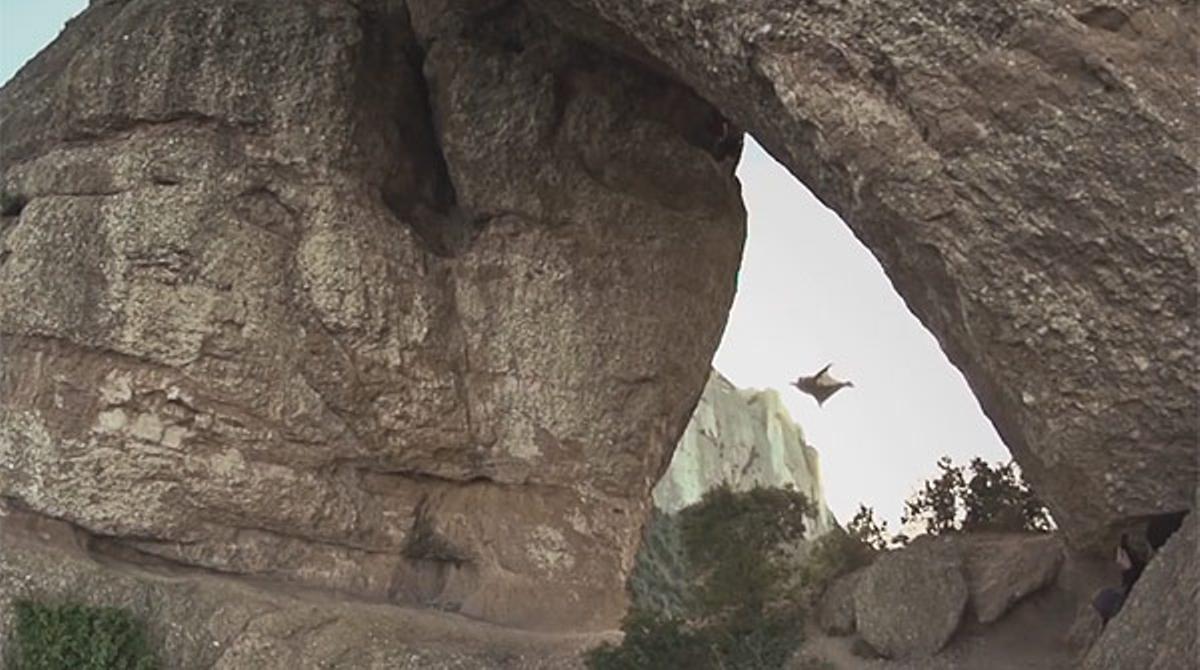 El espectacular vuelo de Alexander Polli en la Roca Foradada de Montserrat