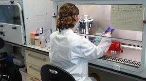 Una científica trabaja en una vacuna contra el coronavirus en las instalaciones del Grupo de Vacunas de Oxford, el 24 de junio. 