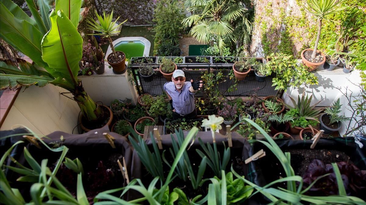 Robert L. Strauss, en una de las terrazas de cultivo de su casa de Gràcia. En total, cosecha 30 metros cuadrados entre tejados. Robert L. Strauss, en una de las terrazas de cultivo de su casa de Gràcia. En total, cosecha 30 metros cuadrados entre tejados.