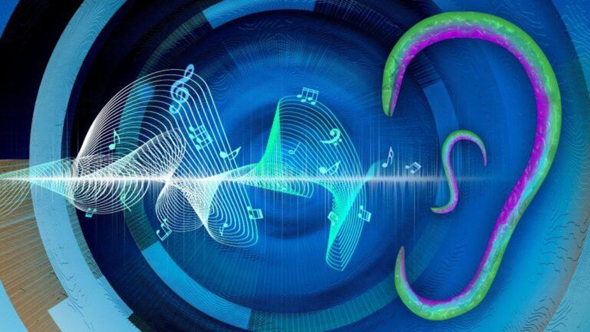 Los sonidos se pueden escuchar a través de la piel, sin necesidad de oídos Los sonidos se pueden escuchar a través de la piel, sin necesidad de oídos