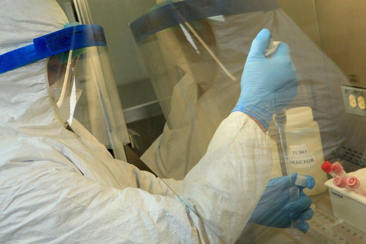 Un especialista en un laboratiro médico. Un especialista en un laboratiro médico.