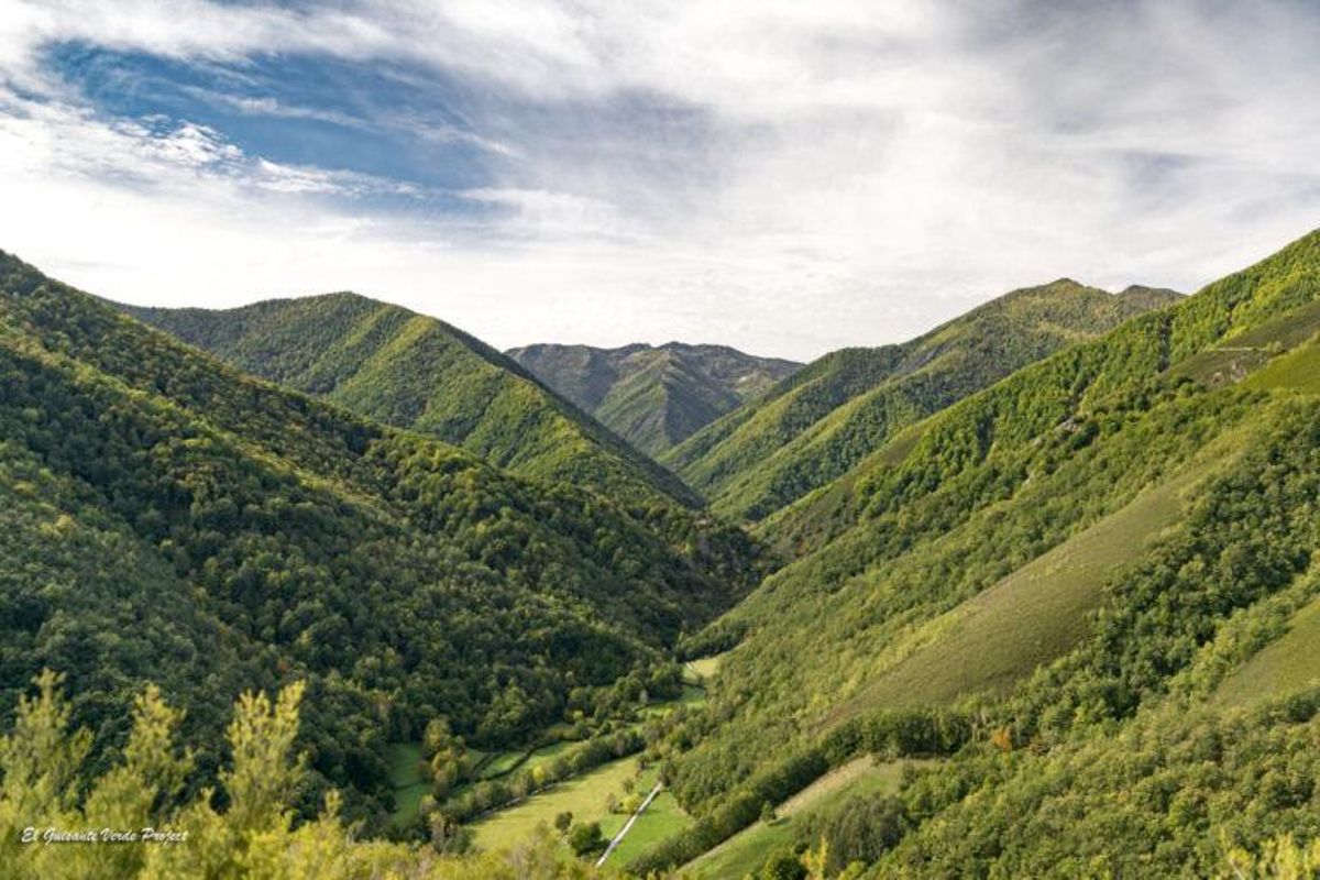 Diez bulos sobre los bosques que lastran el futuro del planeta Diez bulos sobre los bosques que lastran el futuro del planeta