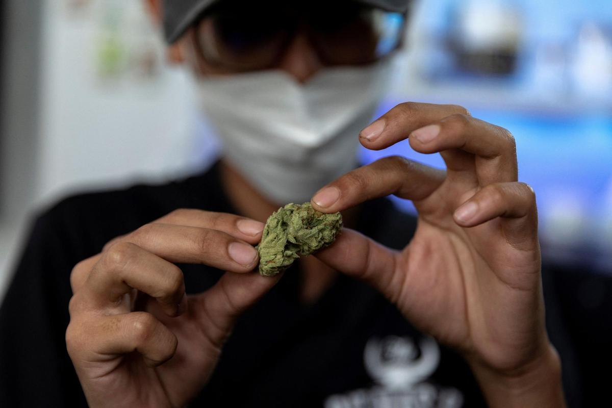 El Canadà tindrà la primera botiga de marihuana del món en una universitat