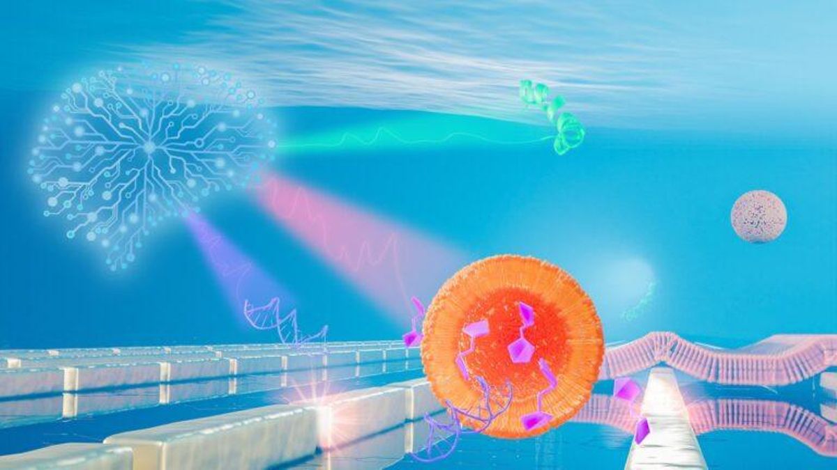 La Inteligencia Artificial y la nanotecnología revolucionan el universo biomolecular La Inteligencia Artificial y la nanotecnología revolucionan el universo biomolecular