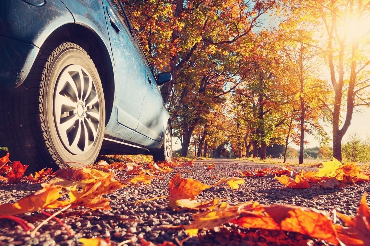 Estos 7 consejos pueden salvarte la vida en carretera este otoño Estos 7 consejos pueden salvarte la vida en carretera este otoño