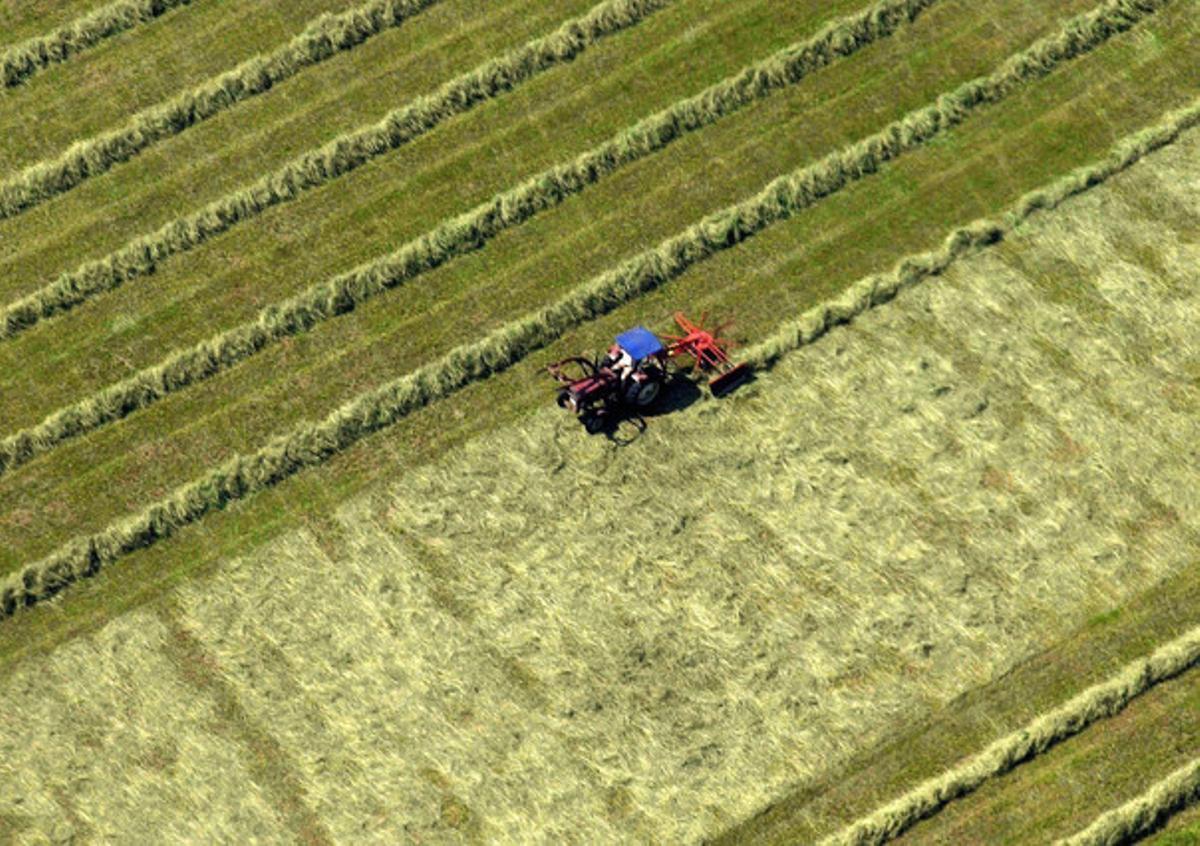 Un tractor recorre un campo de cultivo en Landsberg (Alemania).