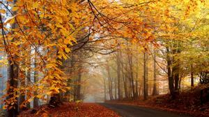 El otoño marca el fin de las temperaturas más extremas