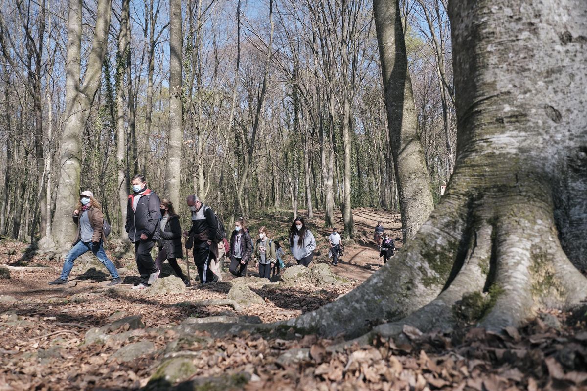 Allau de cancel·lacions al turisme rural pel nou confinament a Catalunya Allau de cancel·lacions al turisme rural pel nou confinament a Catalunya