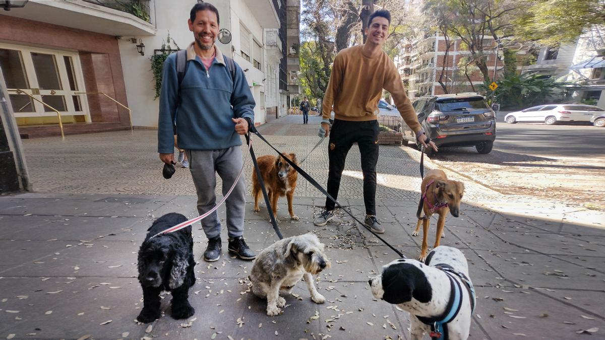 Buenos Aires, la ciudad en la que el paseador de mascotas es una institución