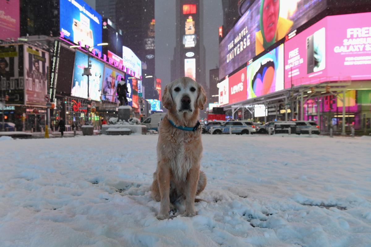 nevando en new york hoy