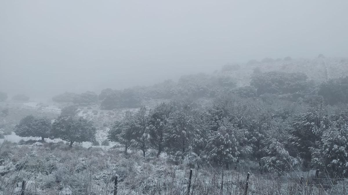 La nieve cubre la sierra de Tramuntana