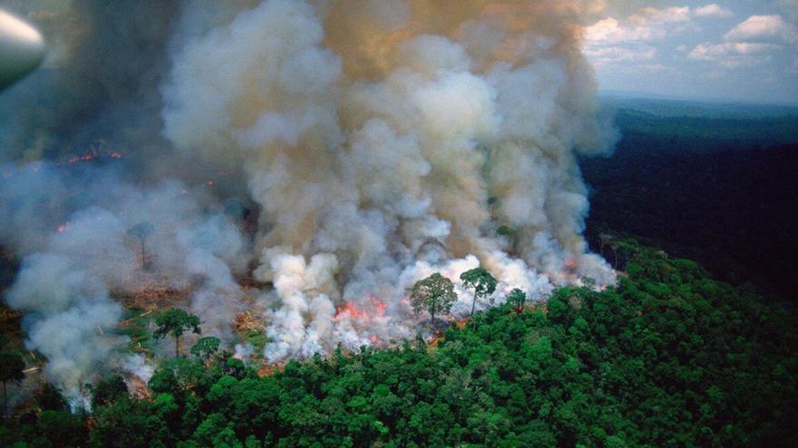 Así actúa el Amazonas como emisor de CO2 por los incendios y la sequía - Vimarsana News