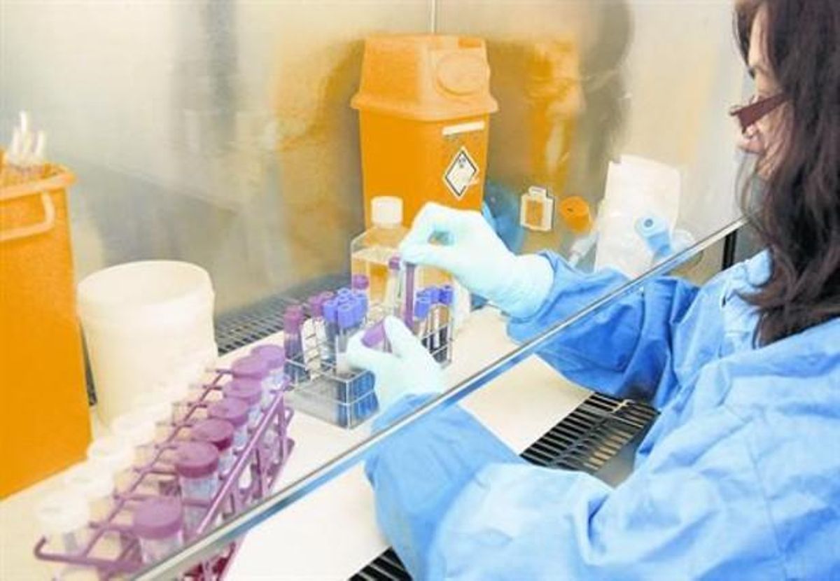 Una trabajadora del IDIBAPS trabaja en uno de los laboratorios. Una trabajadora del IDIBAPS trabaja en uno de los laboratorios.