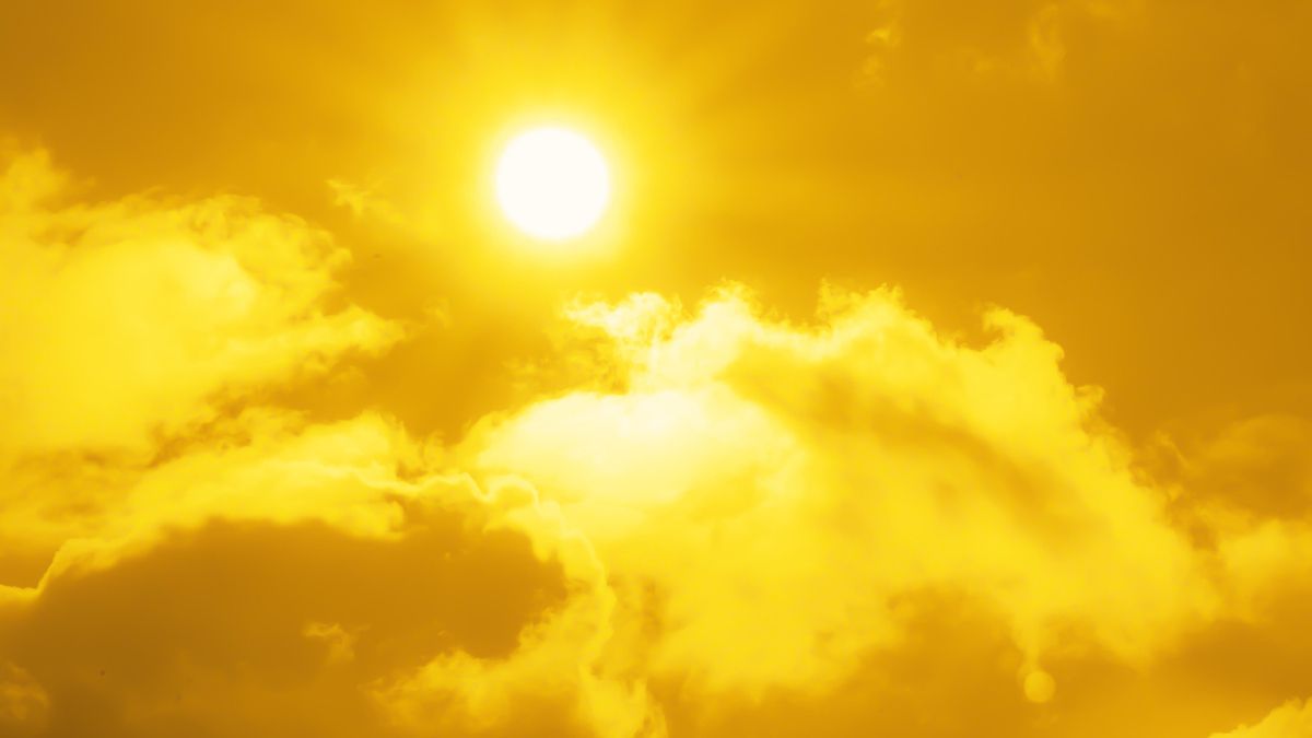 Sol a Lleó Sol a Lleó