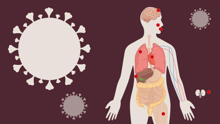 De los pulmones al corazón: las secuelas del covid-19