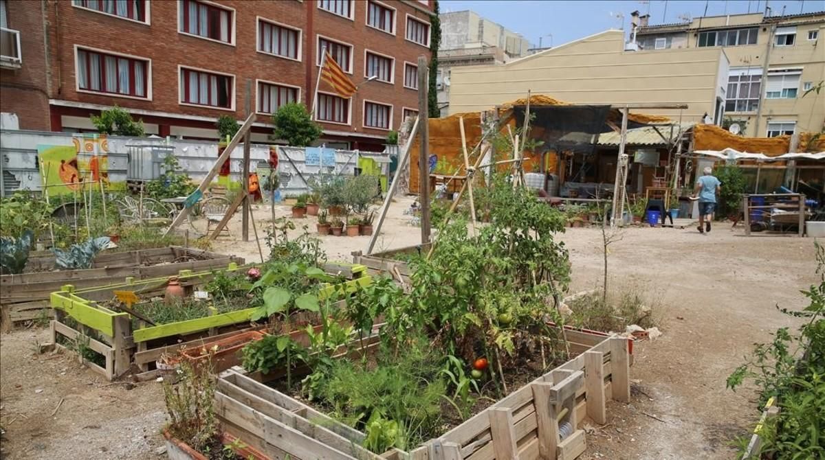 Uno de los ’huertos indignados’ del Poblenou. Uno de los ’huertos indignados’ del Poblenou.