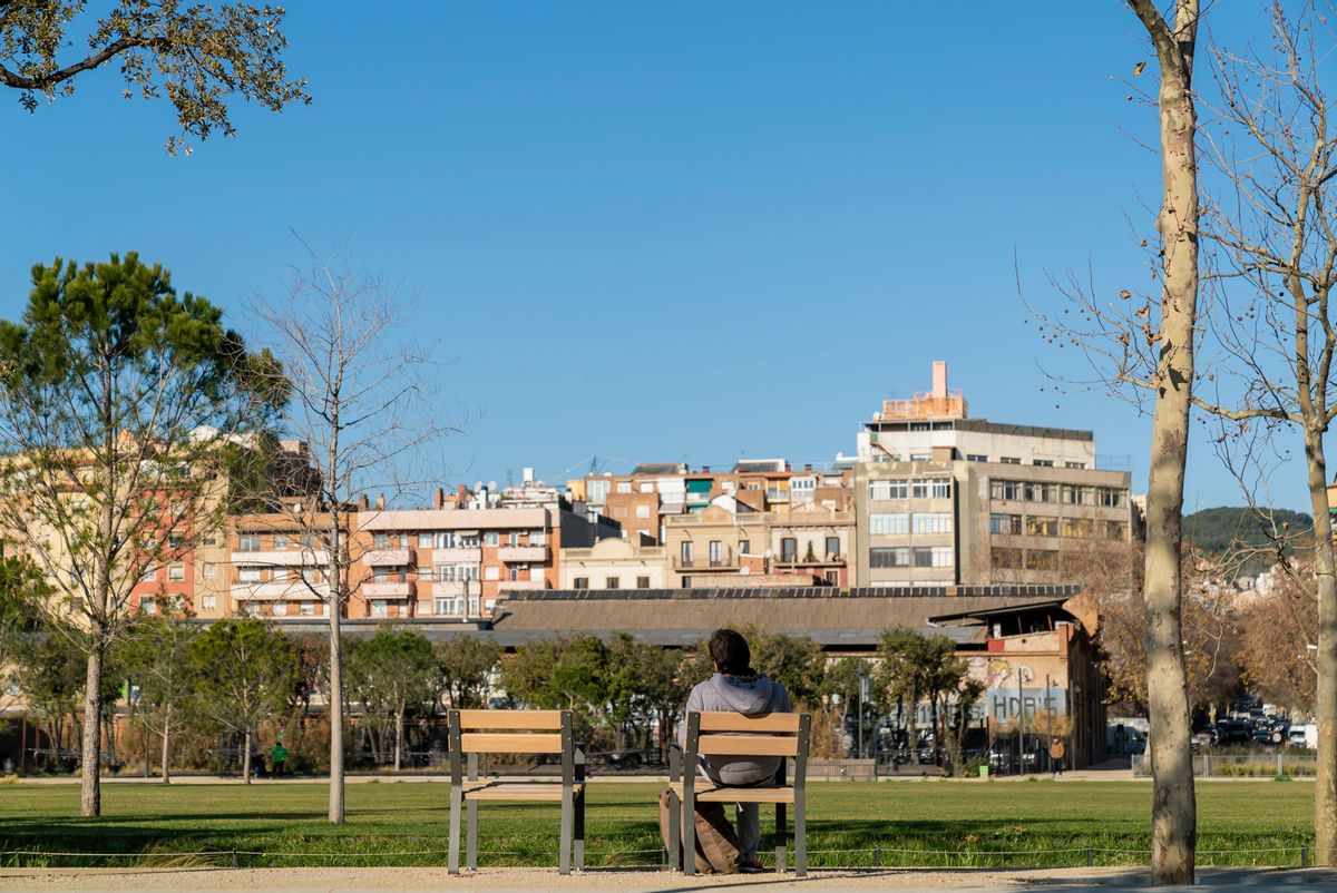 Refuerzo al Plan de choque en salud mental para mejorar el bienestar emocional Refuerzo al Plan de choque en salud mental para mejorar el bienestar emocional