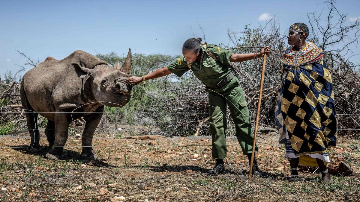 El desafío de preservar Kenia
