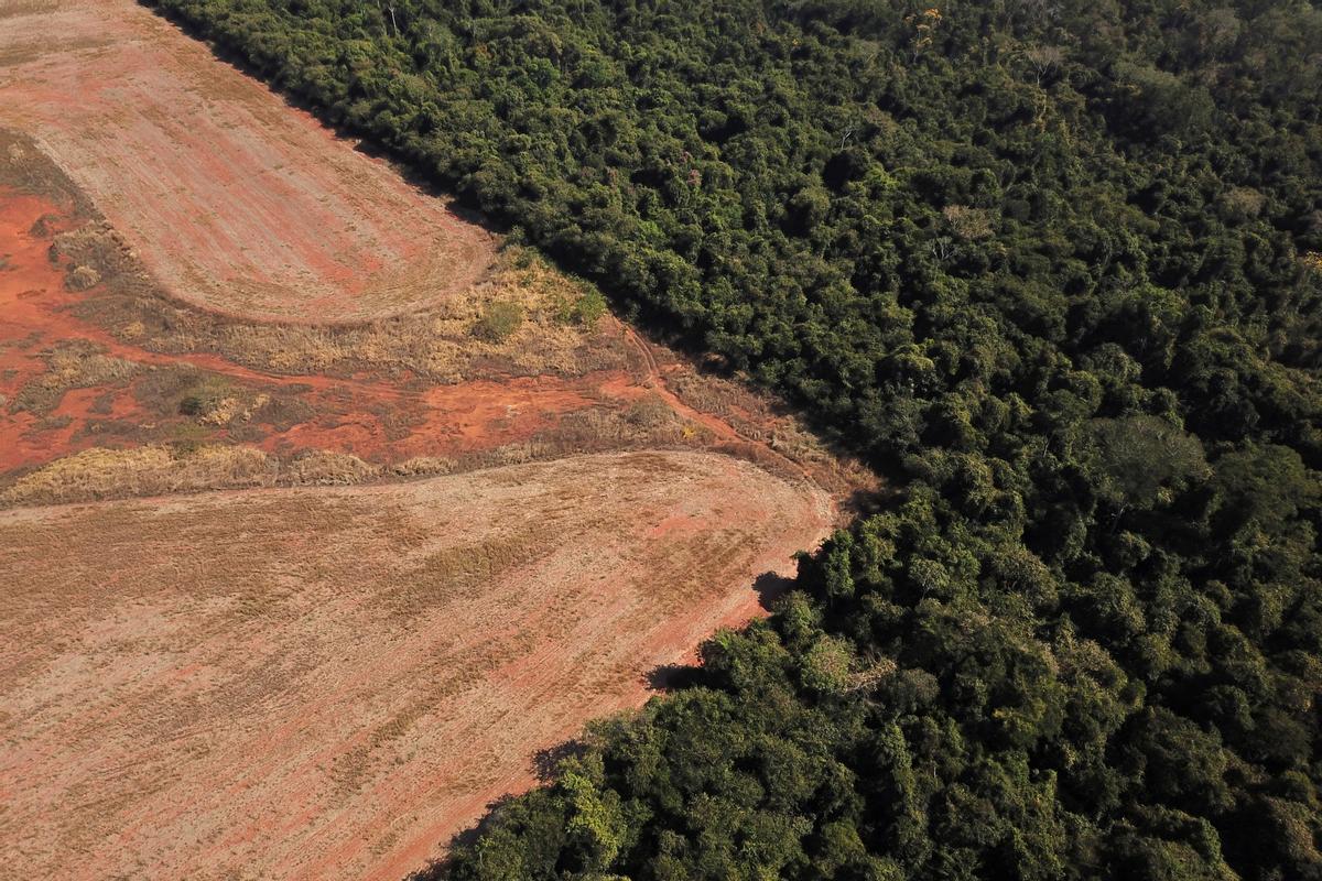 Vista aérea de una zona deforestada en la Amazonia, en el estado brasileño de Mato Grosso el pasado 28 de julio.
