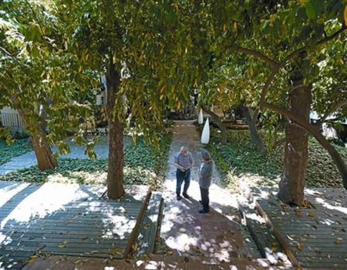Los jardines 8 Los árboles del interior del Hotel Petit Palace Opera Garden, de la calle de la Boqueria. Los jardines 8 Los árboles del interior del Hotel Petit Palace Opera Garden, de la calle de la Boqueria.