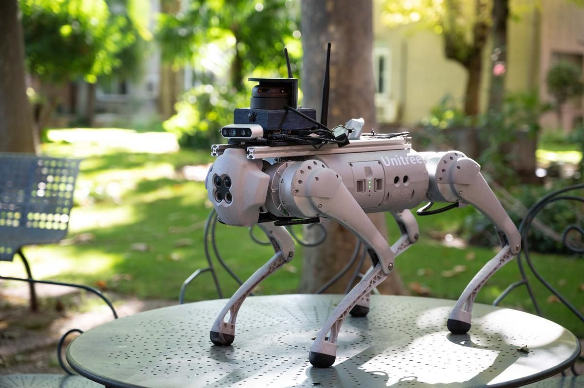 Perro robot | Tefi, el perro robótico creado para ayudar a personas dependientes o con discapacidad