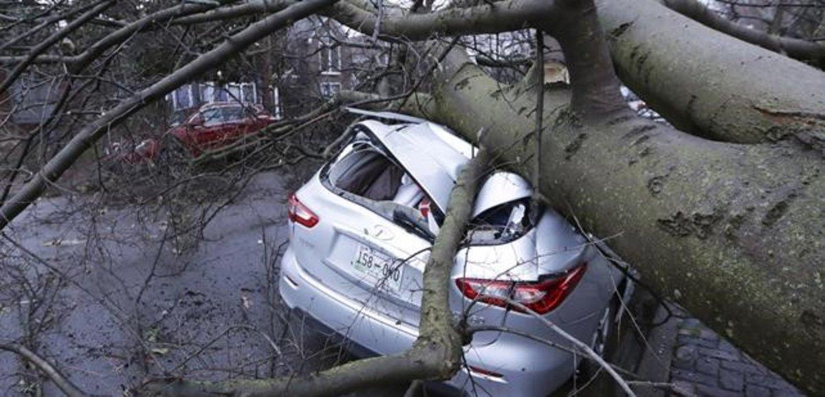 zentauroepp52607386 a car crushed by a tree sits on a street after a tornado tou200303143234 zentauroepp52607386 a car crushed by a tree sits on a street after a tornado tou200303143234