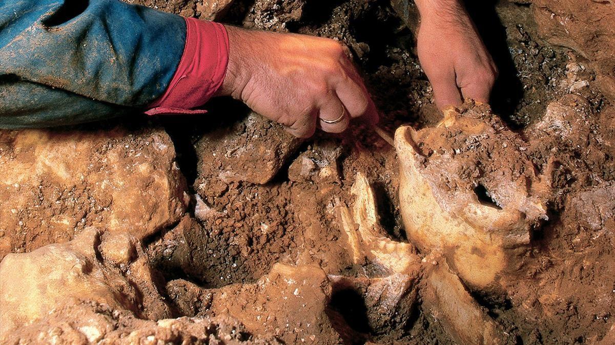 Excavación en la Sima de los Huesos en Atapuerca.