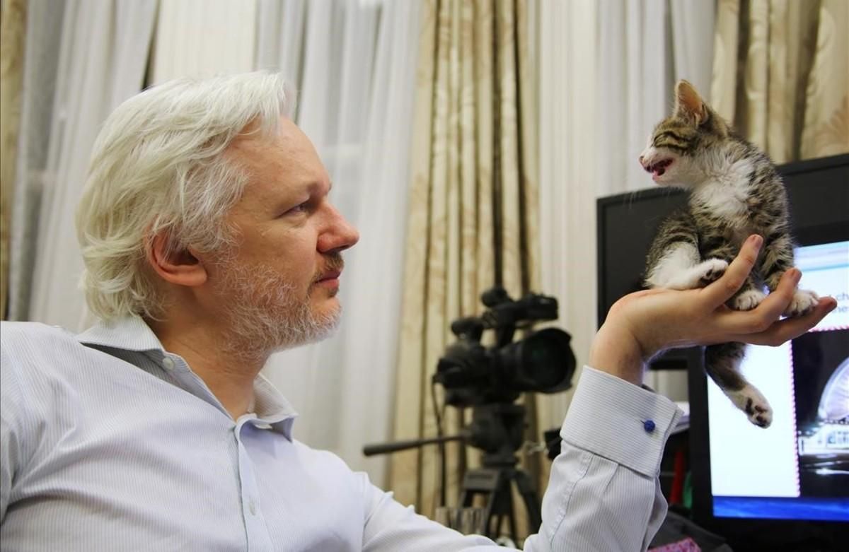 El fundador de WikiLeaks, Julian Assange, en la Embajada ecuatoriana en Londres. El fundador de WikiLeaks, Julian Assange, en la Embajada ecuatoriana en Londres.