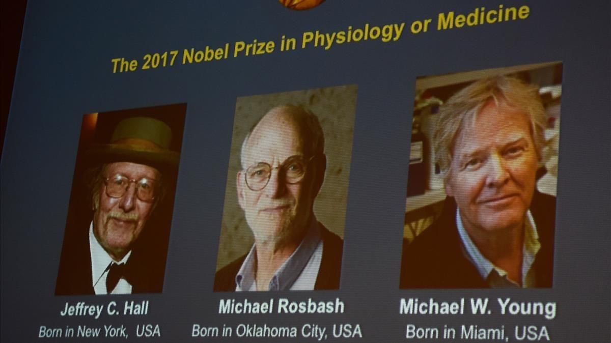 Nobel de Medicina para los descubridores del 'reloj biológico' Nobel de Medicina para los descubridores del 'reloj biológico'