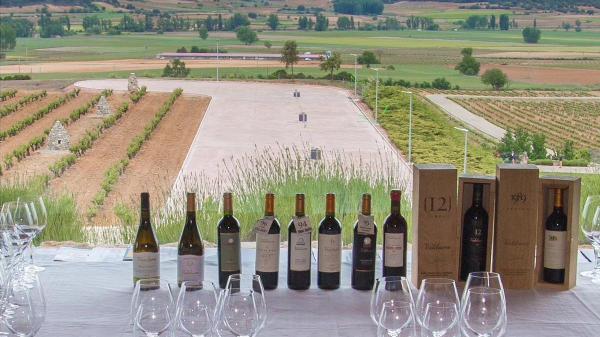 Vistas de las viñas de Bodegas Valduero desde su restaurante.