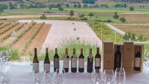 Vistas de las viñas de Bodegas Valduero desde su restaurante.